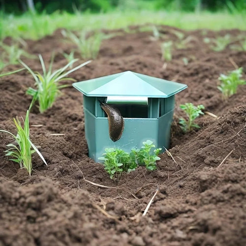 Garden Protector | Pest Control Hexagonal Snail Trap with Durable Design | Effective Shield for Healthy Plants